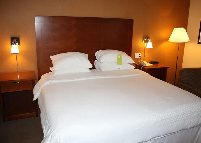 Hotel Four Points By Sheraton Chicago O'hare
